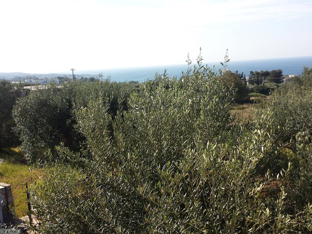 Villa Minteco Patù Dış mekan fotoğraf