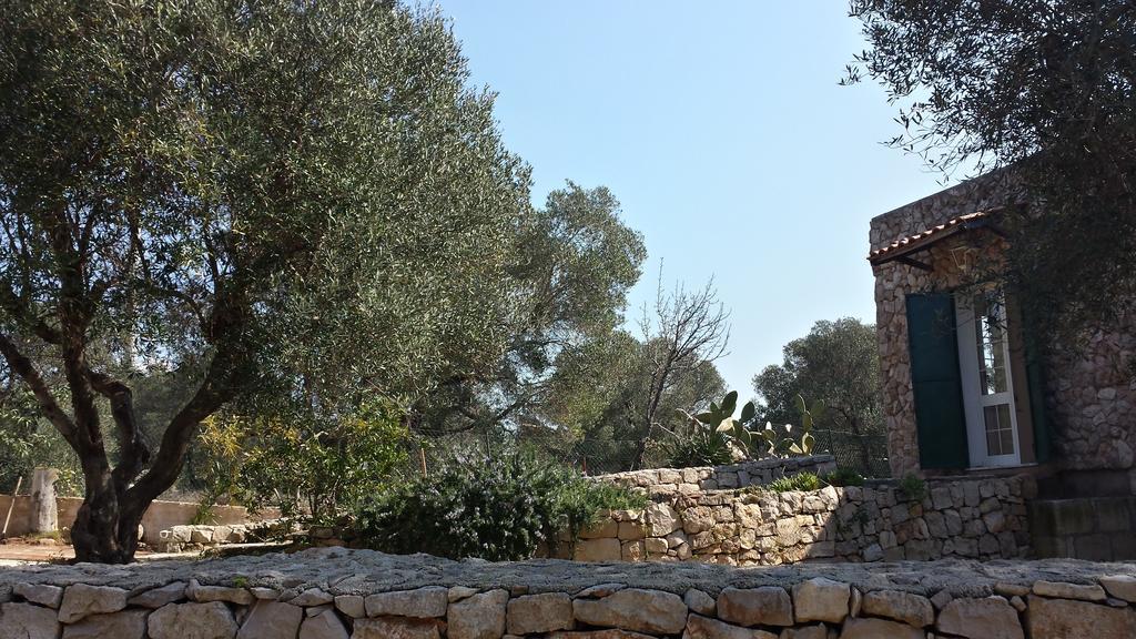 Villa Minteco Patù Oda fotoğraf