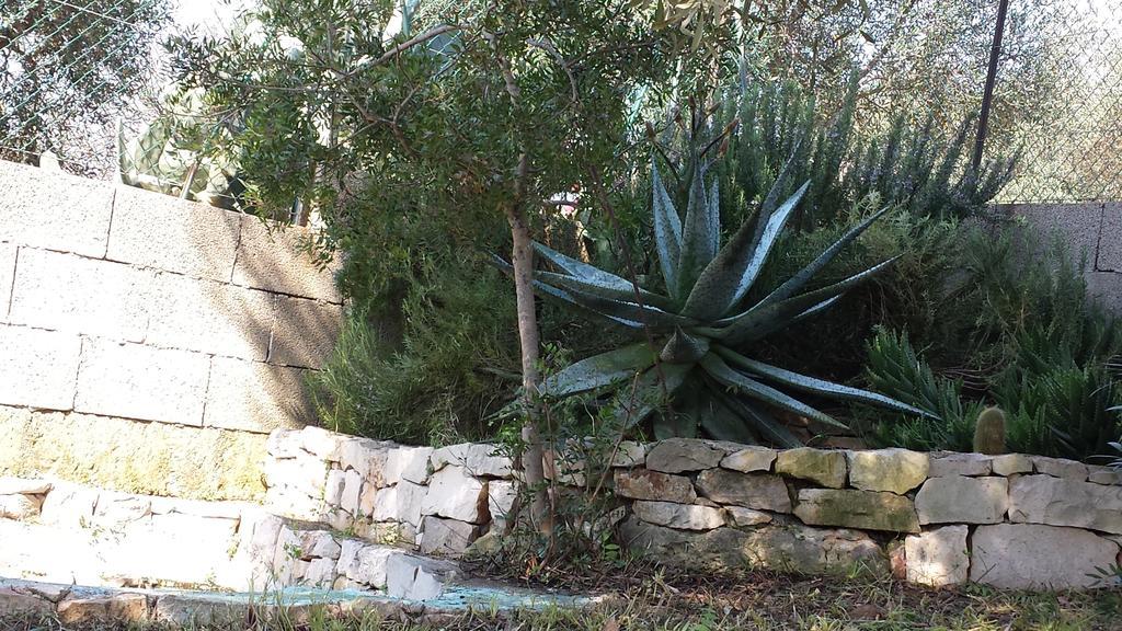 Villa Minteco Patù Dış mekan fotoğraf