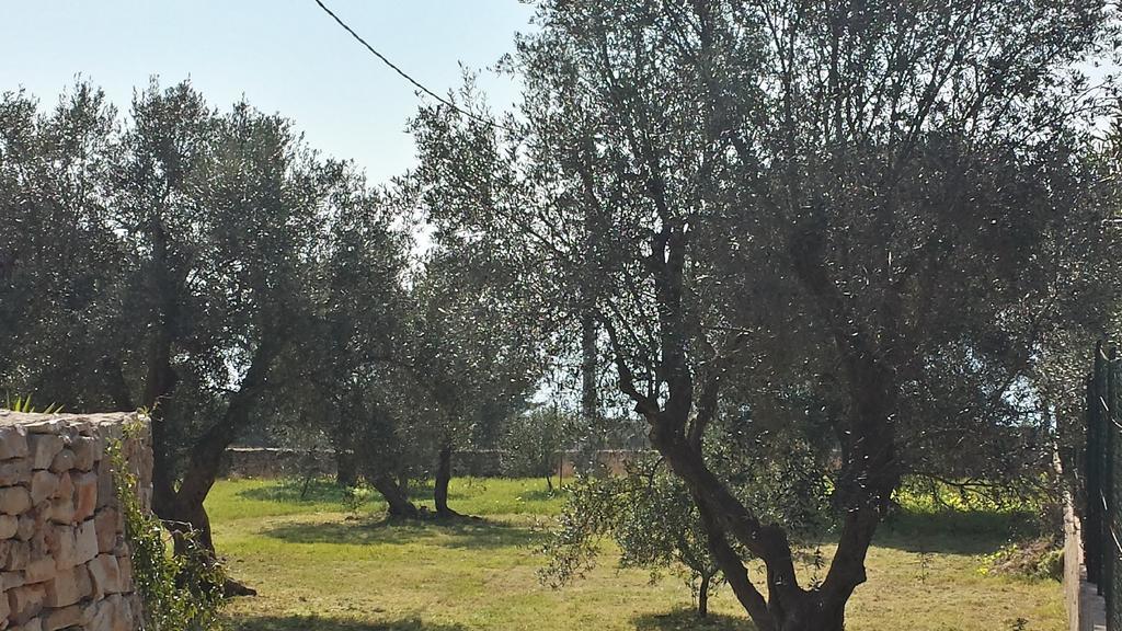 Villa Minteco Patù Dış mekan fotoğraf