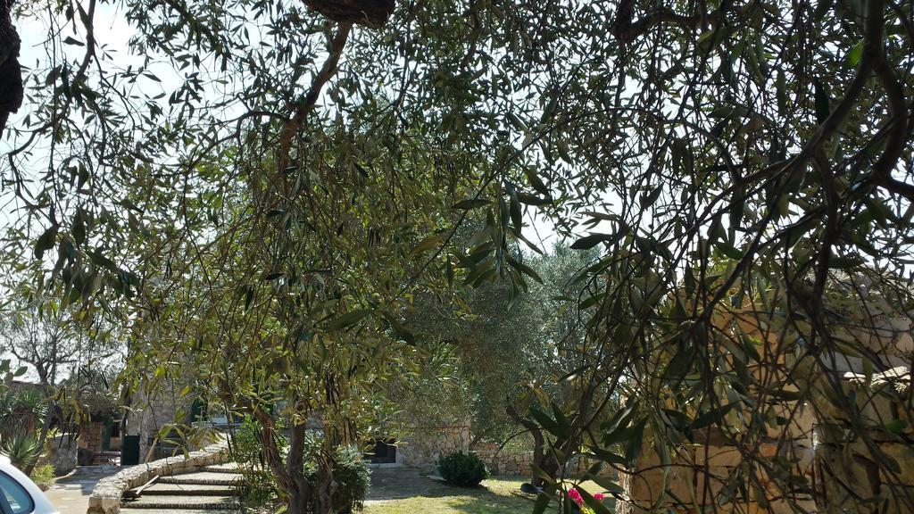 Villa Minteco Patù Dış mekan fotoğraf