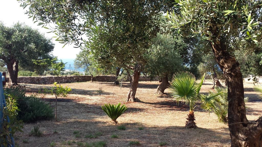 Villa Minteco Patù Dış mekan fotoğraf