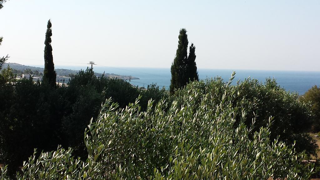 Villa Minteco Patù Oda fotoğraf