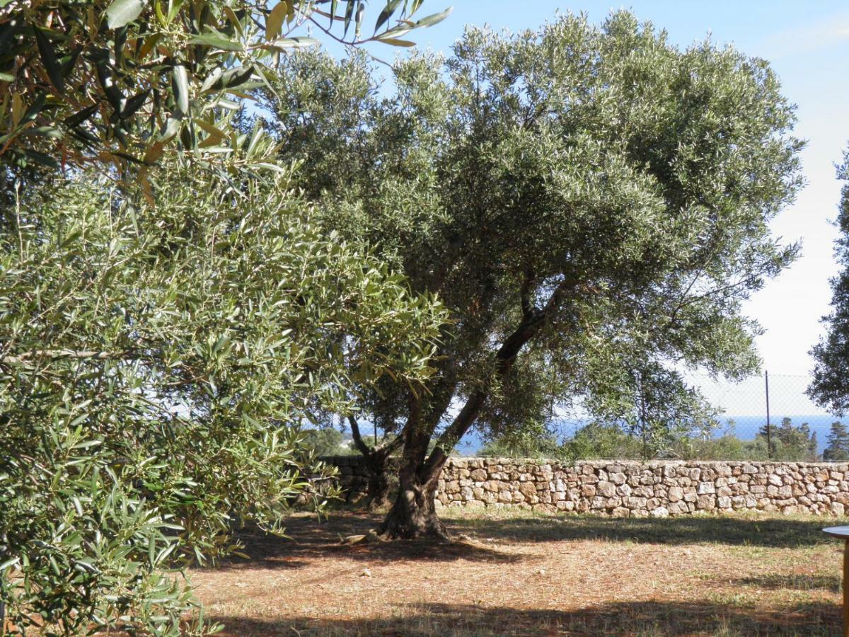 Villa Minteco Patù Dış mekan fotoğraf