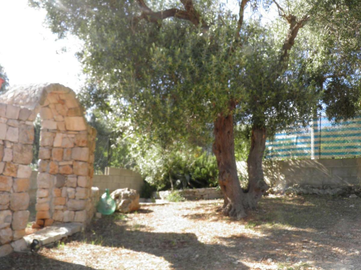 Villa Minteco Patù Dış mekan fotoğraf