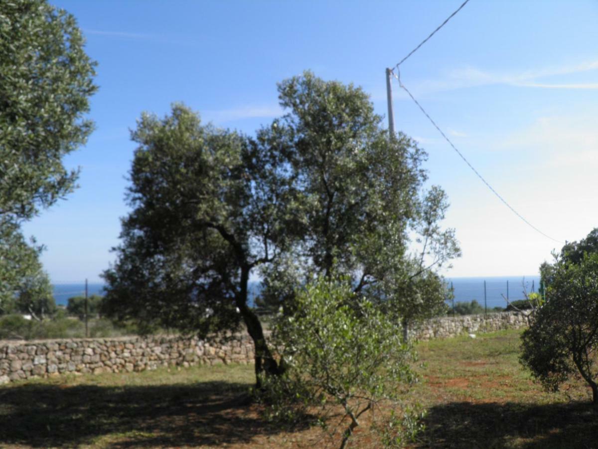 Villa Minteco Patù Dış mekan fotoğraf